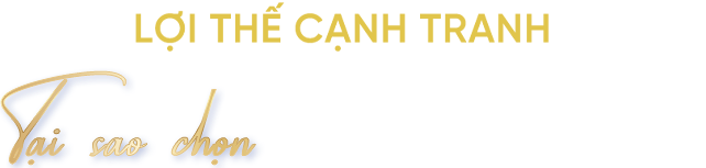 Lợi Thế Cạnh Tranh - Tại Sao Chọn XCONS E&C